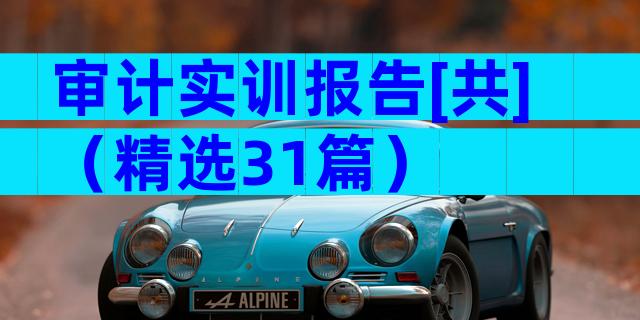 审计实训报告[共]（精选31篇）